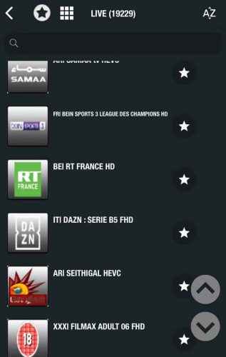 Megaott IPTV xxx support Android Box Smart IPTV PC for all device global M3u IPTV Mega photo review